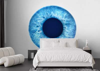 Closeup of blue eye on white background Wall mural