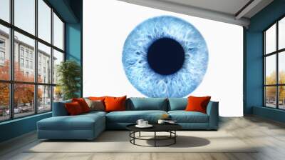 Closeup of blue eye on white background Wall mural