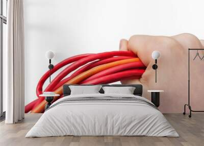 Cropped image of technician holding computer hardware cables over white background Wall mural