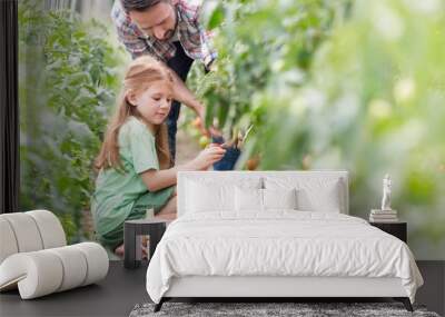 Father picking organic tomatoes with daughter in greenhouse Wall mural