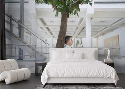 Full length side view of middle aged businessman meditating under tree in office Wall mural