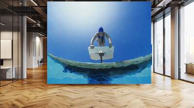 Low angle view of female swimmer ready to dive in water Wall mural