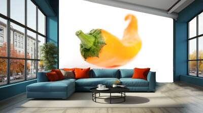 Orange Chilli Wall mural