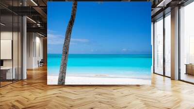 A tropical paradise beach under a coconut palm tree at Cape Santa Maria, Long Island, The Bahamas Wall mural