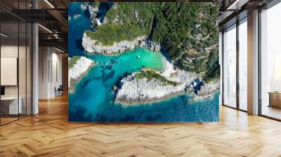 Aerial view of the secluded Spilia Beach at the rough and cliffy east coast of Skopelos island, Sporades, Greece Wall mural