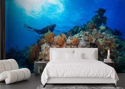 Colorful underwater coral landscabe with a scuba diver on Long Island, Bahamas, Caribbean sea Wall mural