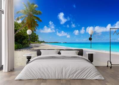 The beautiful beaches of Antigua and Barbuda, Caribbean Sea, with turquoise ocean and coconut palm trees, Turners Beach Wall mural