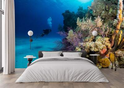 The beautiful underwater landscape of the Bahamas, Long Island, with colorful corals and a scuba diver Wall mural