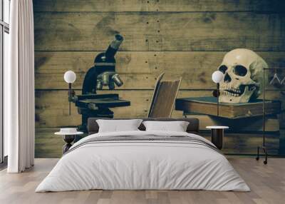 Human skull and science Wall mural