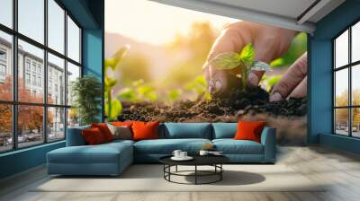 A close-up of hands planting a small tree sapling  Wall mural