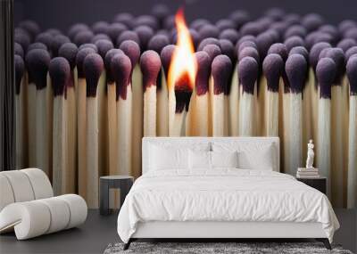 Lit match next to a row of unlit matches. The Passion of One Ignites New Ideas, Change in Others. Wall mural