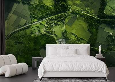 Aerial view of green fields, crops and harvests. Natural landscape.
 Wall mural