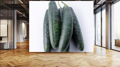 organic cucumber Wall mural