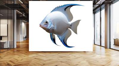 TRANSPARENT PNG ULTRA HD 8K A solitary angelfish gracefully floating with its elegant fins extended vibrant colors standing out vividly against a transparent background Wall mural