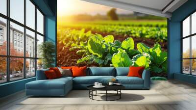 Vibrant green leaves of young plants in a sunlit field, symbolizing growth, agriculture, and the beauty of nature. Wall mural