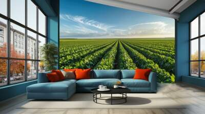 A vast, green soybean field stretches towards the horizon under a bright blue sky with wispy clouds. Wall mural