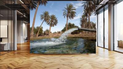 The city of Al-Ahsa is famous for its palm cultivation. Saudi Arab . Wall mural