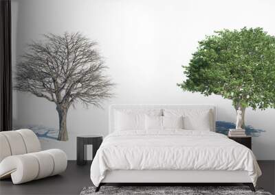 two isolated trees with and without leafs Wall mural