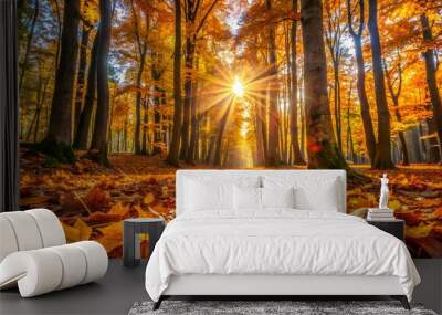 A natural landscape of the autumn season, with a forest floor covered in fallen leaves and the autumn sun filtering through the tree leaves - a seasonal background for autumn. Wall mural