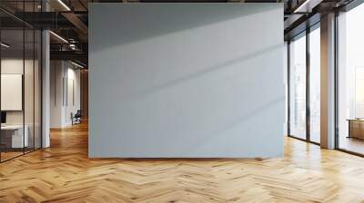 Minimalist Light Grey Office Wall with Soft Window Shadows and Natural Light Wall mural