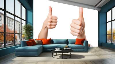 Collection of PNG. Hand showing thumbs up sign isolated on a transparent background. Wall mural