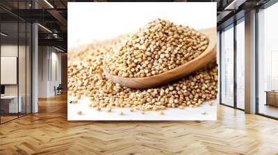 Red, black and white quinoa grains in a wooden spoon. Healthy food background. Wall mural