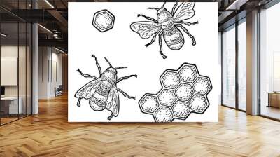 Honeycomb and bee. Engraving vintage vector black illustration Wall mural