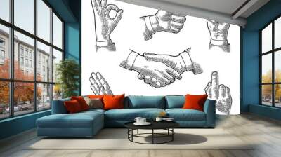 Male Hand sign. Like, Handshake, Ok, Stop, Middle finger, Victory Wall mural