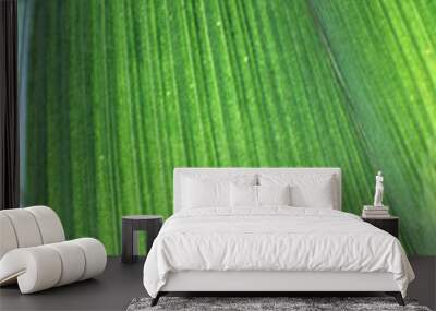 Green Wall mural