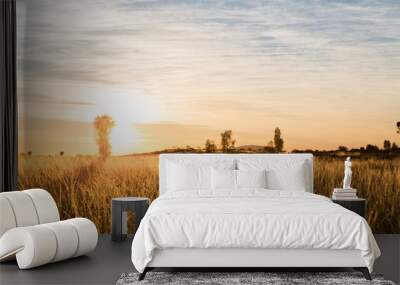 Warm Sunrise Over Field Wall mural