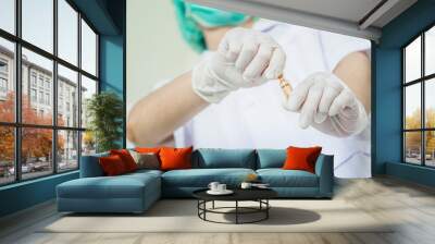 nurse break a vaccine vial Wall mural