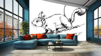 engrave squirrel illustration Wall mural