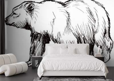 Hand drawn bear Wall mural