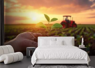 Hand holding a young plant against a background of a farmer's field with a tractor at sunset, symbolizing growth and agriculture. Wall mural