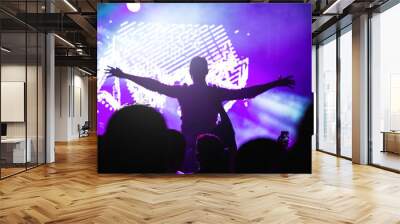 rear view of crowd watching and dancing at a live concert Wall mural