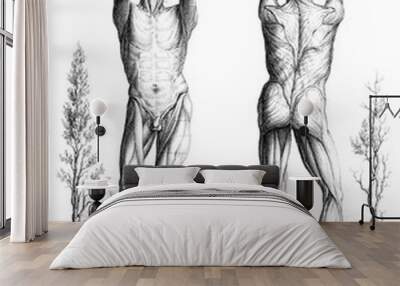 Outline of a theory and an anatomical nomenclature, vintage engr Wall mural