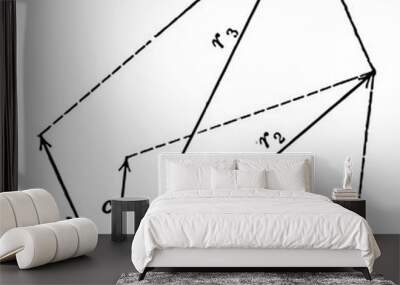 Resultant Vector From 4 Forces. vintage illustration. Wall mural