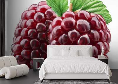 Detailed cutout of a A fresh loganberry isolated  Wall mural