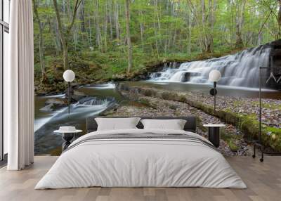 Clinch Mountain waterfall along a trout stream Wall mural