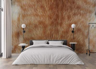 Orange soft cat fur texture for cute pet background. Wall mural