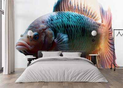 an isolated colorful fish on a white background, created with AI technology. 
 Wall mural