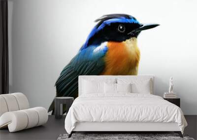 Beautiful colored bird with white background. with Generative AI technology	
 Wall mural