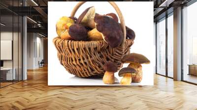 edible forest mushrooms in a basket on a white background Wall mural