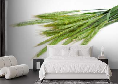 Green rye spikes (Secale cereale), on white background Wall mural