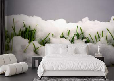 Melting snow on green grass close up, warm spring day, rebirth of life concept Wall mural