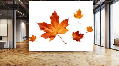 autumn colored fall leaf texture on transparent background overlay
 Wall mural