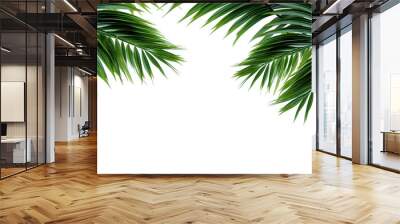 green curved palm leaves isolated on transparent background, texture overlay for vacation, relaxation, travel and wellness Wall mural