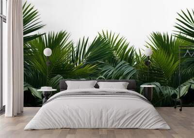 palm tree leaves overlay texture, border of fresh green tropical plants isolated on transparent background
 Wall mural