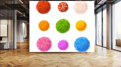 Realistic Detailed 3d Colorful Pom Poms Set. Vector Wall mural