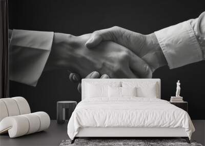 A business handshake signifies trust and agreement between two parties, symbolizing the start of a partnership and mutual understanding in professional settings. Wall mural